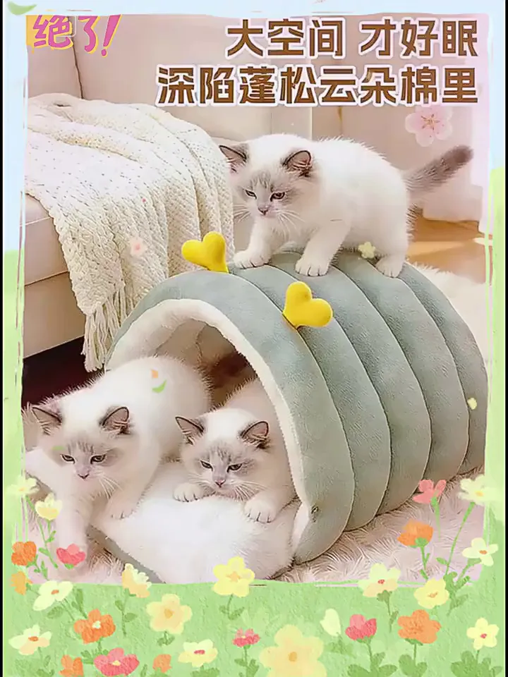 猫窝界的“防寒神器”！猫咪超爱