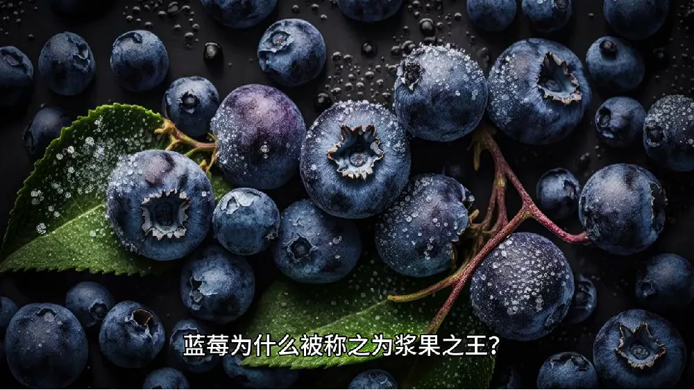蓝莓脑袋狂喜!云南皇冠蓝莓庄超大果开箱!