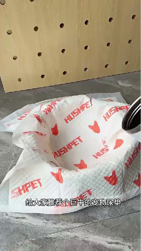 铲屎官必看!尿垫界“六边形战士”,油头退退退同款控油思路