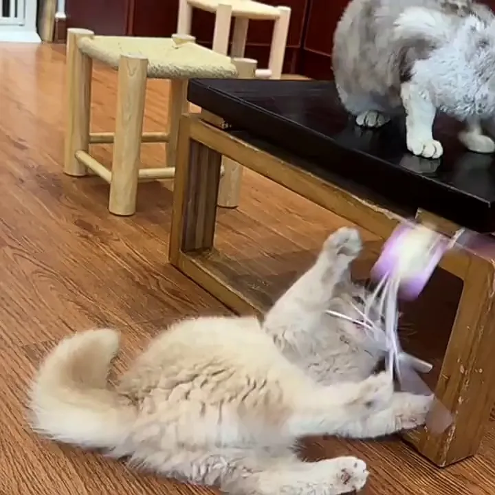 🥹谢谢买它!谢谢铲屎官们!这款逗猫棒真的超火
