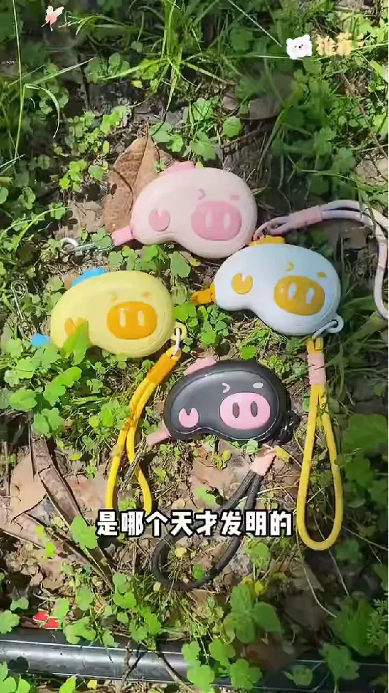 🍃PLOG|新人博主第5天｜我的养宠日常碎片🔁