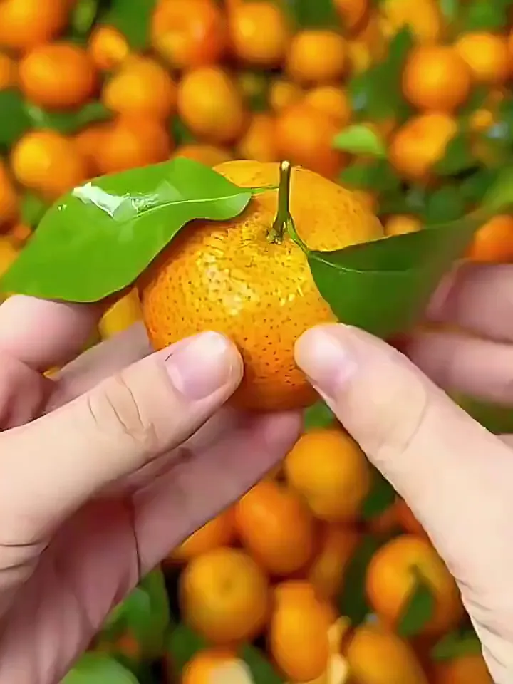 黄皮斑点脸真有被救到!黄气消消乐啊!