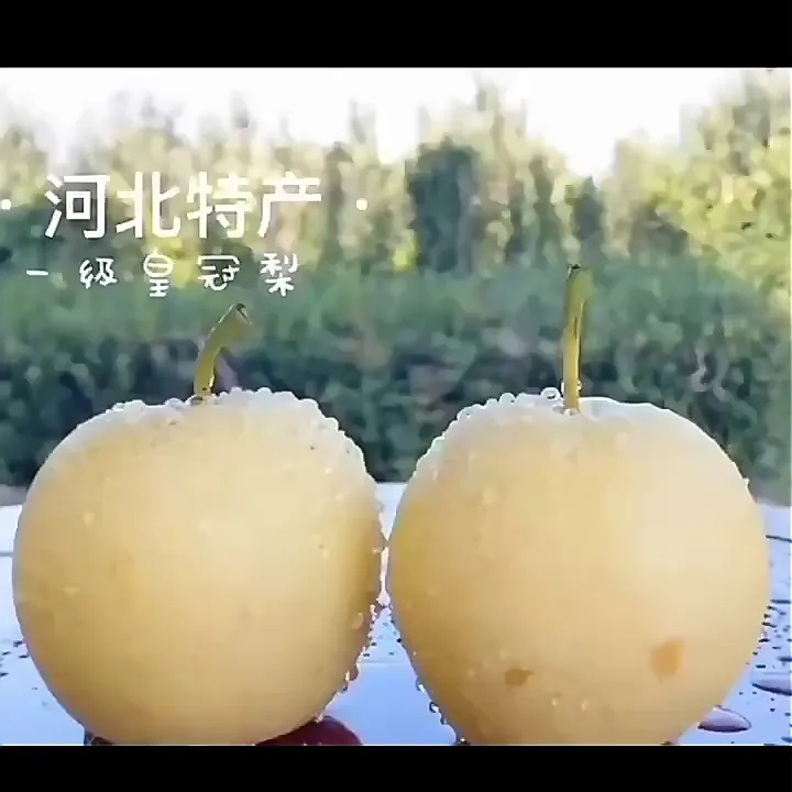 水果控必看！河北皇冠梨花斑果，一口甜到心巴