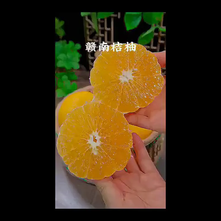 小众水果出奇迹!正宗会昌桔柚带你KO寡淡味蕾🐾