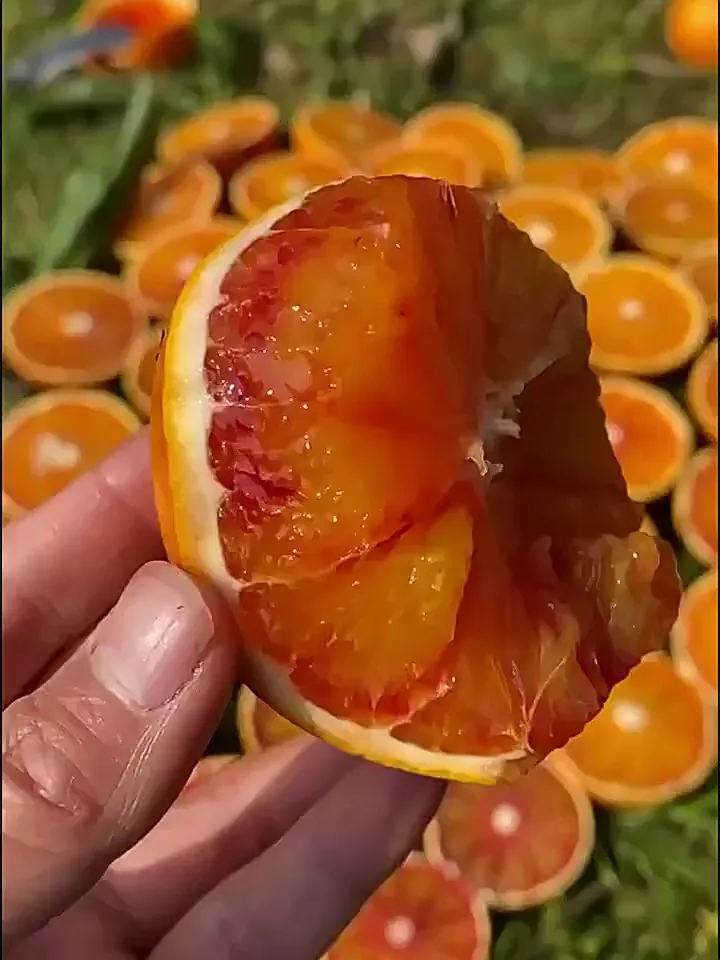 四川朋友推荐的!!也太太太好吃了吧
