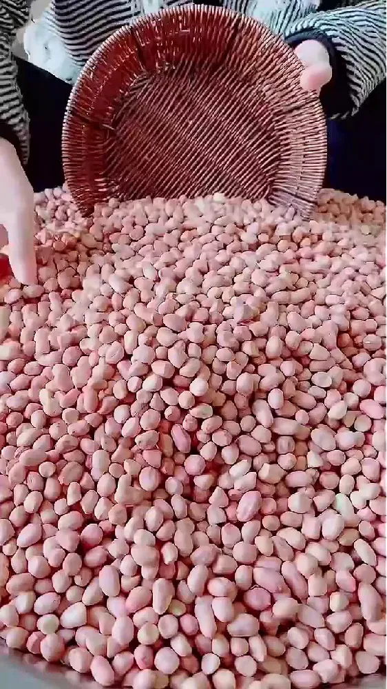 成年人不做选择:营养美味全都要!