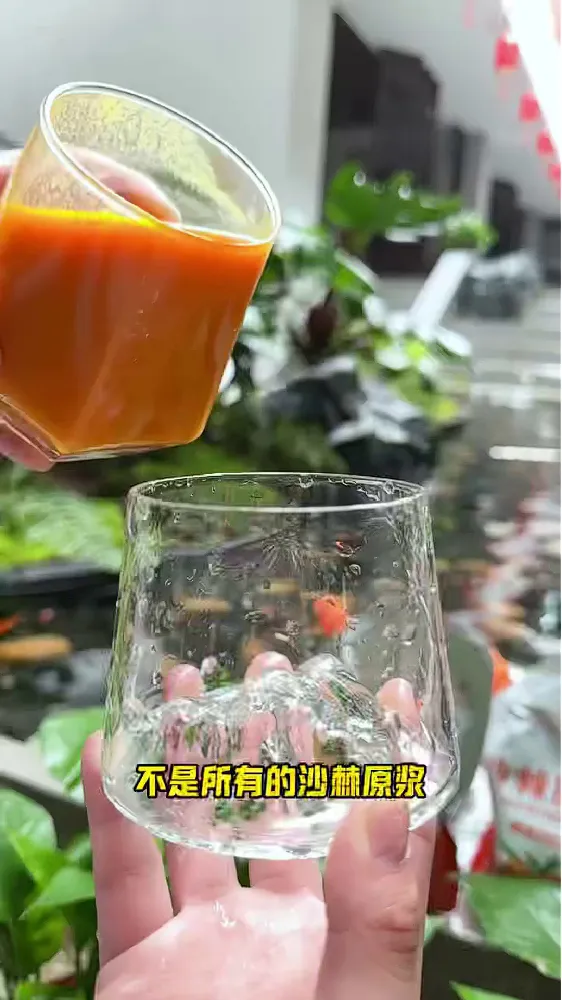 没开玩笑!这沙棘汁真的有一套!