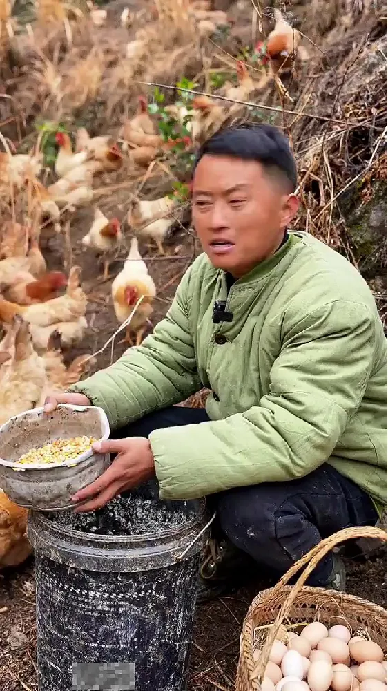 想给家人吃营养好蛋,又怕买到不正宗的“假土鸡蛋”?