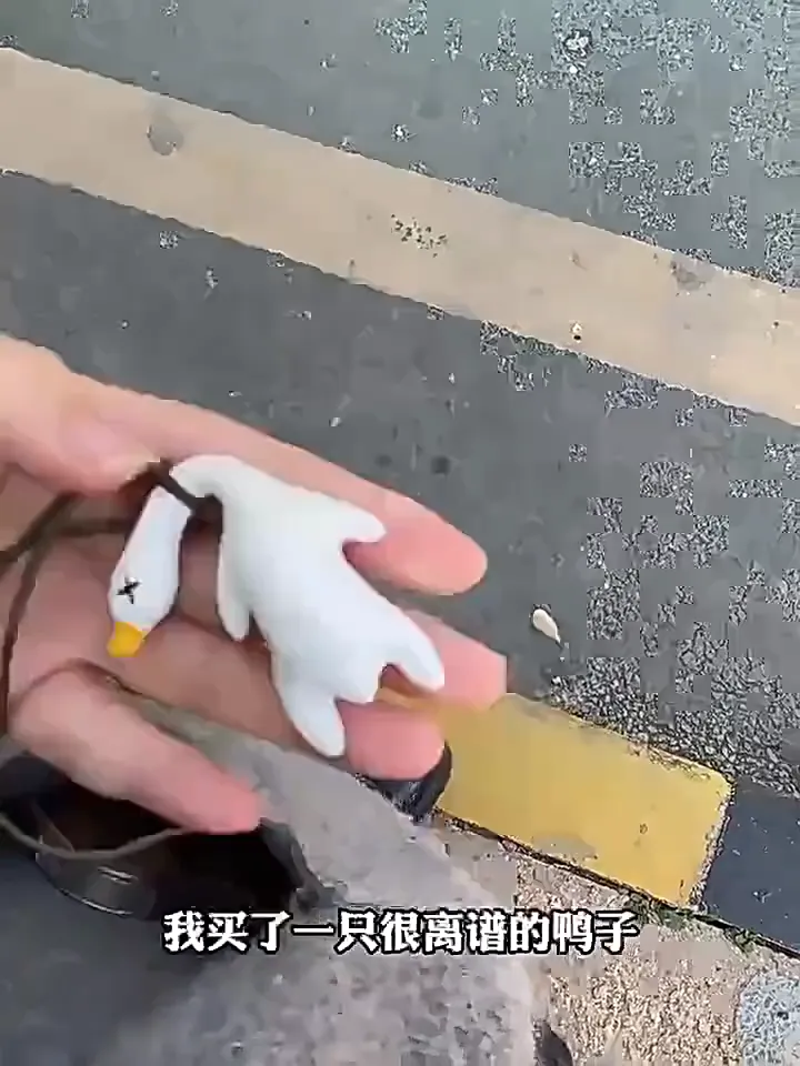 潮流玩家收“新趣”！创意好物亮“趣”榜！💥