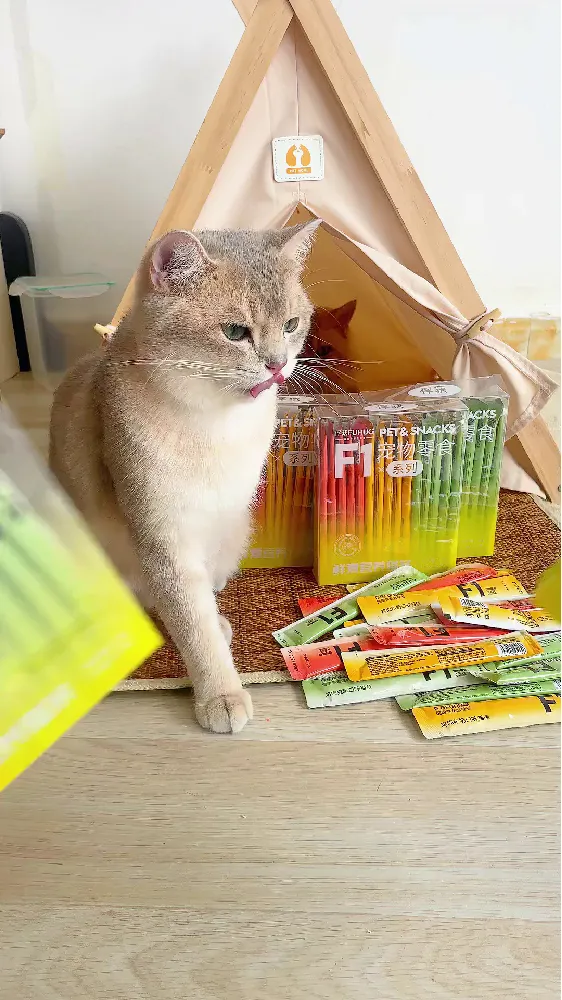 猫咪挑食老发愁？猫条三招让它秒变“小吃货”！