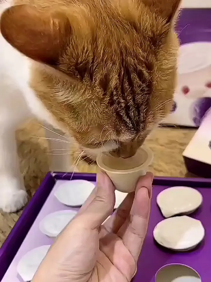 30+💰！猫咪疯狂爱上的宝藏罐头！