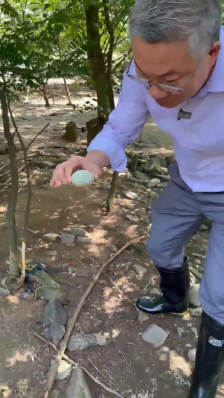 太绝了吧！！这农家鲜鸭蛋到底啥宝藏好物？！