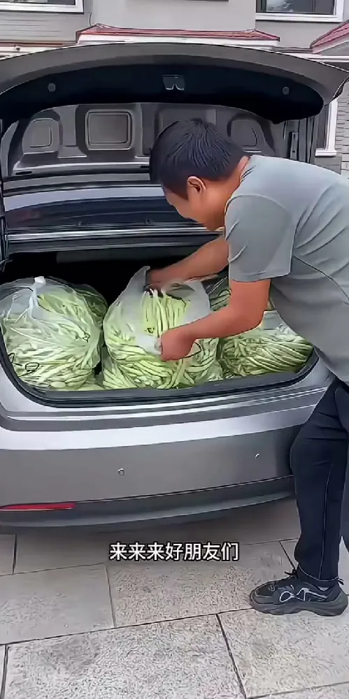 这四季豆让我秒变厨房小能手