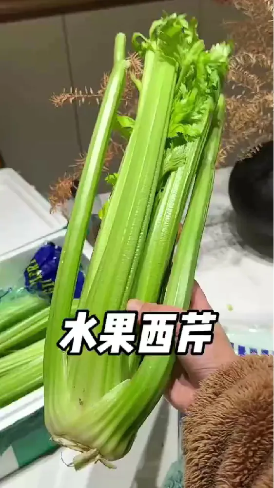 鲜嫩爆汁的西芹…我又挖到宝了！