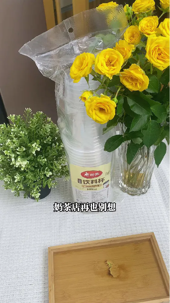 家居聚会、自制饮品必备！美丽雅奶茶杯全线测评攻略！