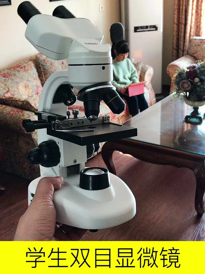 哇塞!一片标本才几毛钱!细菌微观世界全解锁!