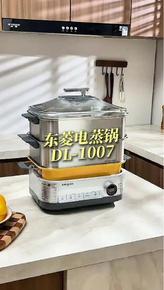 多人聚餐做饭手忙脚乱？大容量电蒸锅救大命！！！