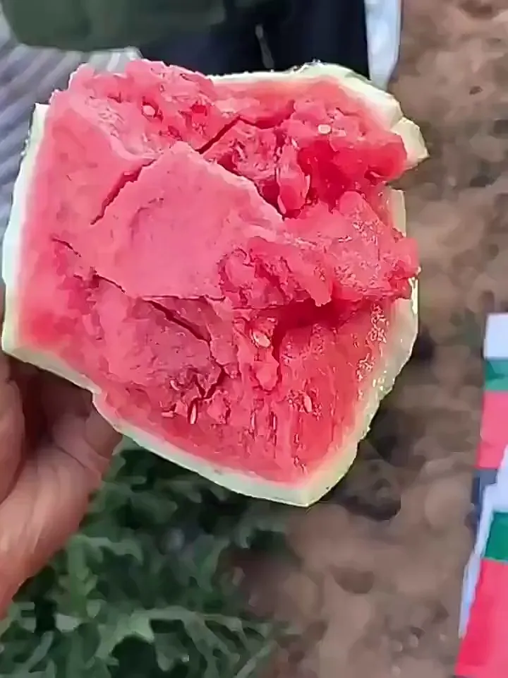 水果新宠，清甜多汁，性价比超高！