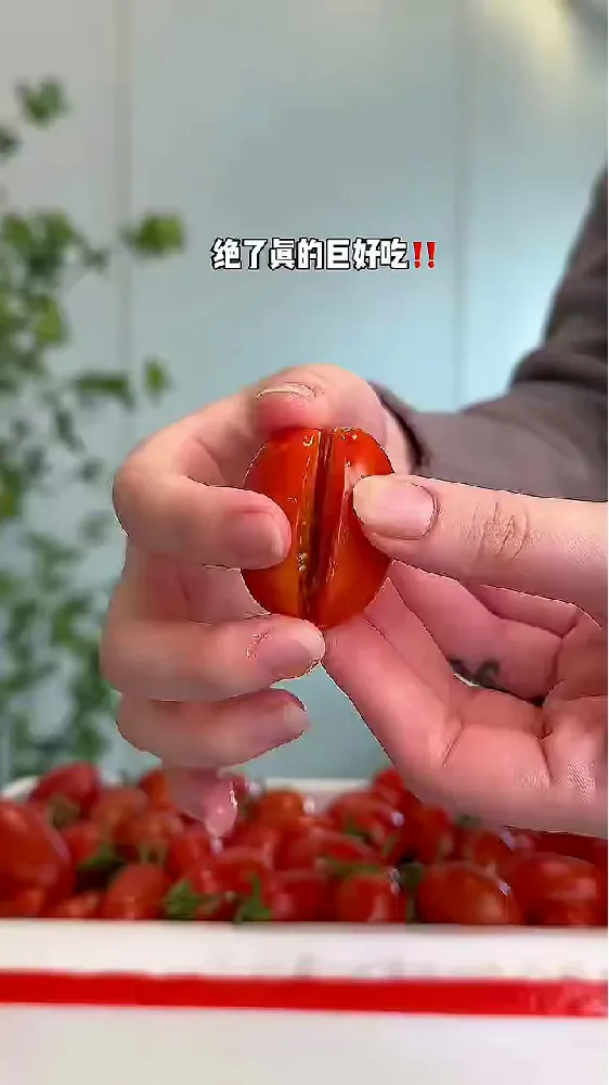 就素这个丹东枸杞小番茄 绝！！！