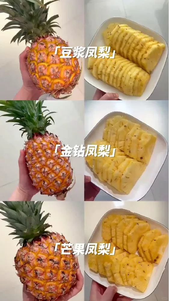 豆浆凤梨、金钻凤梨、芒果凤梨的区别