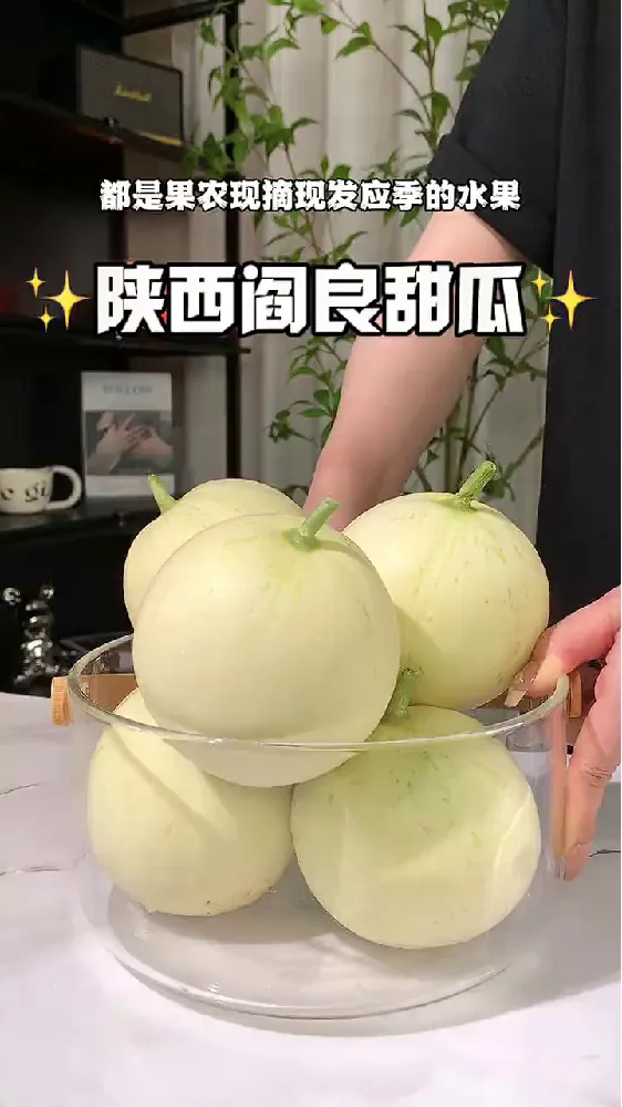 阎良甜瓜称霸水果界?三招让你秒懂它的魅力!