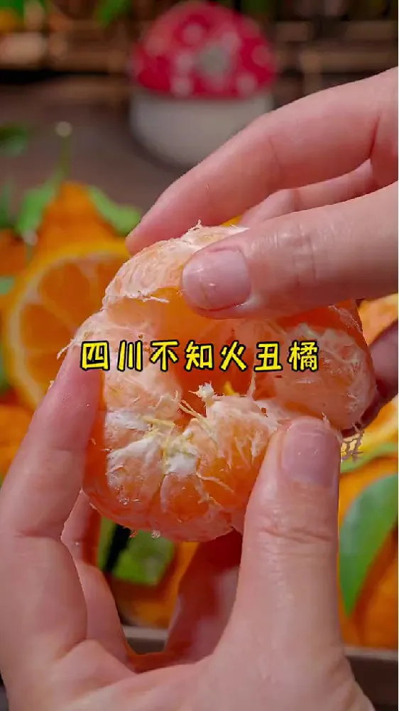 叮~您的尝鲜神器已送达!