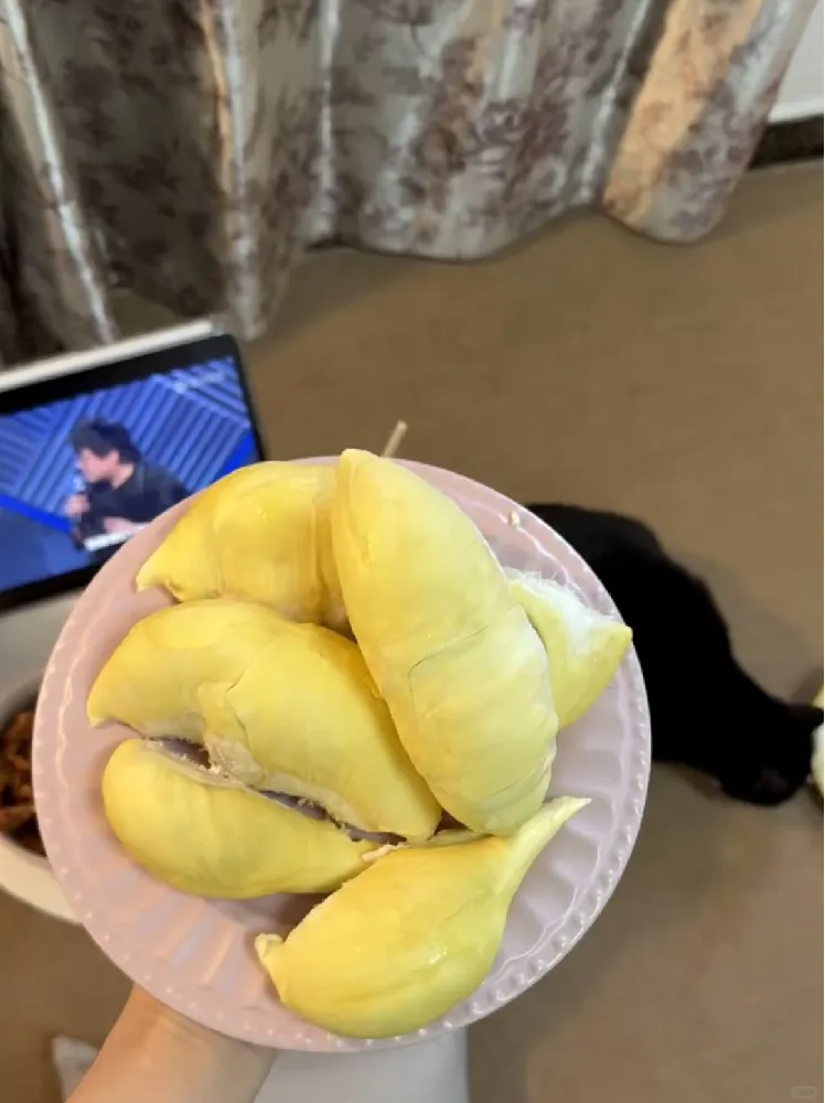 璐亦【精选泰国好果子】榴莲肉金枕新鲜冷冻金枕头有核树熟果肉水果 树熟金枕A级榴莲果肉【净重2斤】