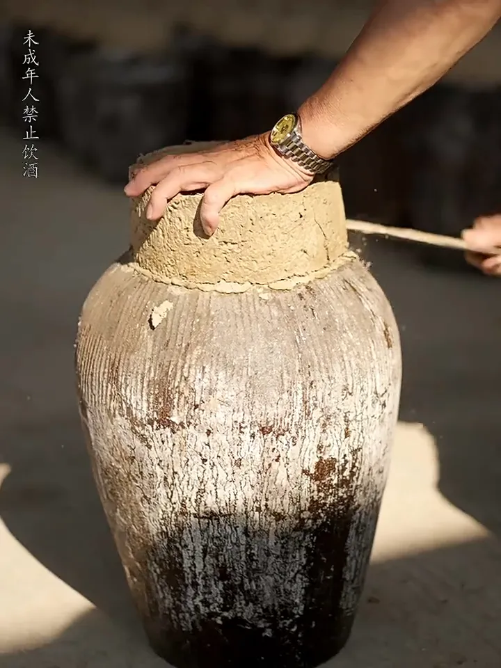 懂酒星人必看!古越龙山花雕酒为何能称霸餐桌✨