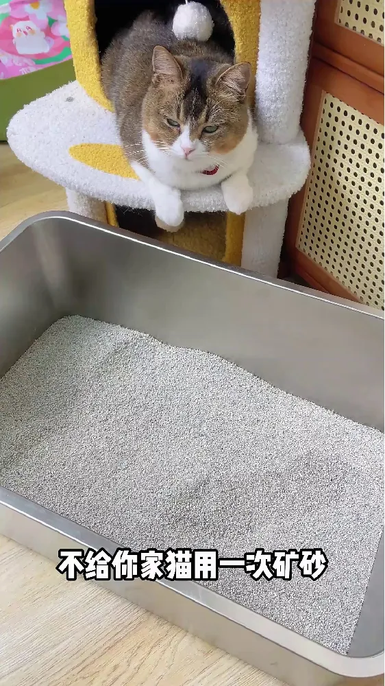 囧宝钠基矿物猫砂,这次真的被它“砂”到了!