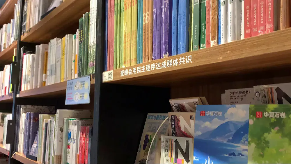 送学生党练字神器!百元内字帖写出千元书法班气质