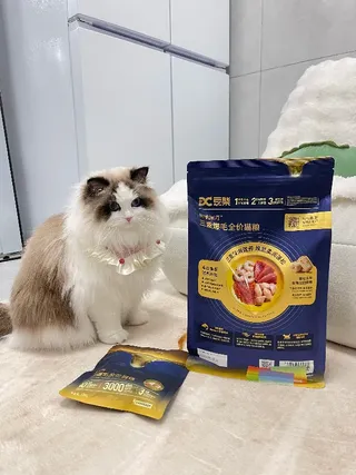 铲屎官狂喜！豆柴这款猫粮要“出道”啦！