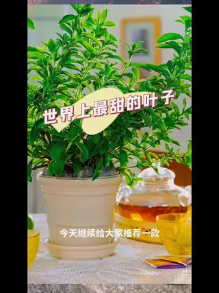 我去！养生达人的秘密好像被我发现了！