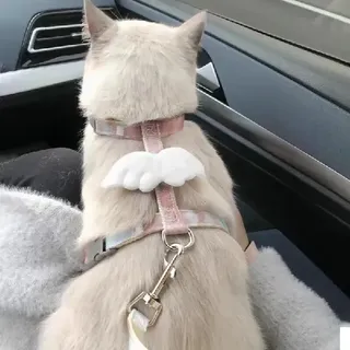 铲屎官必入！猫咪外出神器，萌喵秒变“天使精灵”！