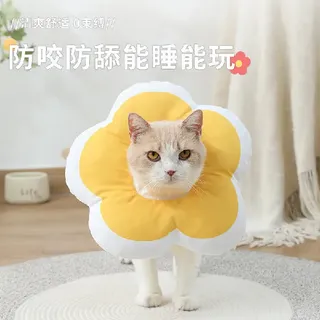 宠物界颜值担当——守护毛孩子的可爱神器