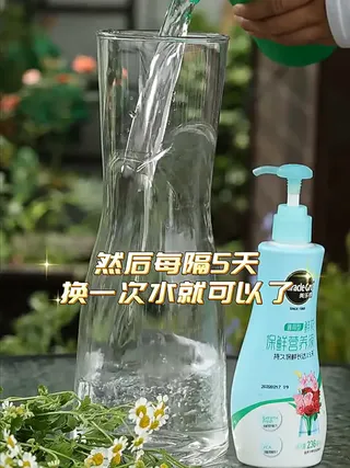 鲜花养护高端局！今年黑马非它莫属