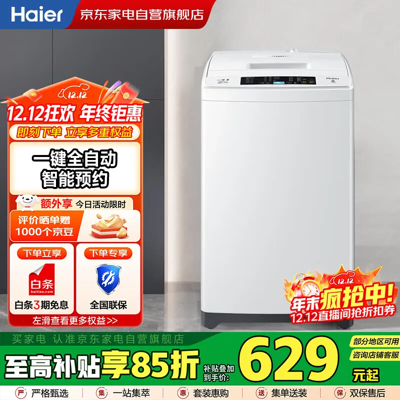 海尔(Haier)波轮洗衣机全自动6.5KG 节能省水+小型不占地+租房神器+智能漂洗+桶自洁+澎湃动力EB65M019