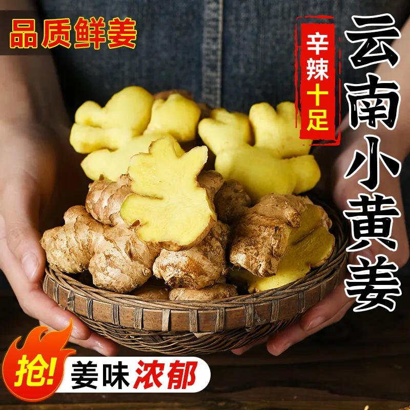 山人勿倦云南小黄姜3斤新鲜现挖嫩姜红河土姜沙姜老农种植蔬菜高山 3斤