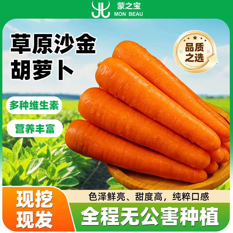 蒙之宝 MON BEAU内蒙带泥蜜脆沙金胡萝卜200gx13根左右2.5kg甜脆多汁源头直发包邮