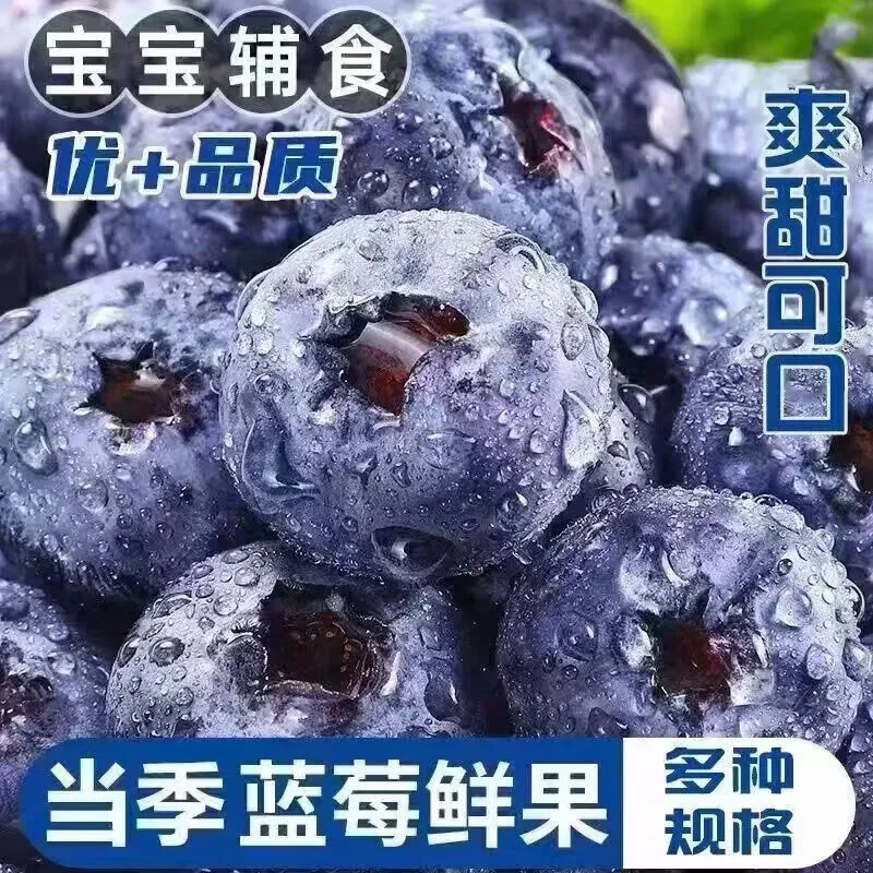 云南蓝莓现发露天蓝莓果超甜孕妇水果当季新鲜水果 单果12mm+ 2盒200g