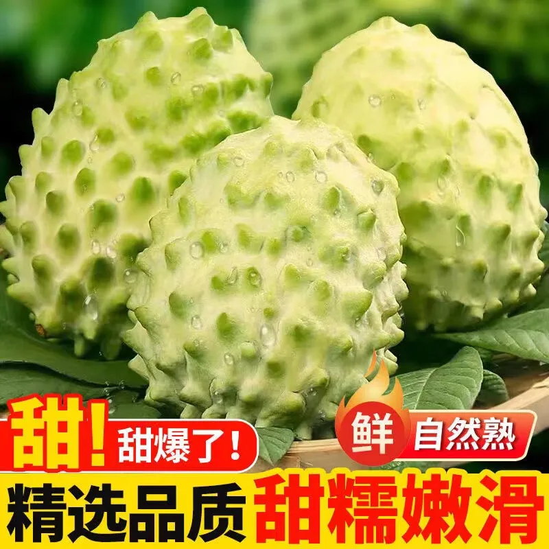 粤迎牛奶凤梨释迦果【产地直发】广西新鲜现摘新鲜冰淇淋释迦牟尼水果 3斤精选果【香甜软糯】净2.5斤