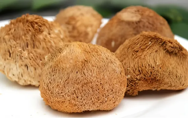云南猴头菇南北干货火锅食材🔥