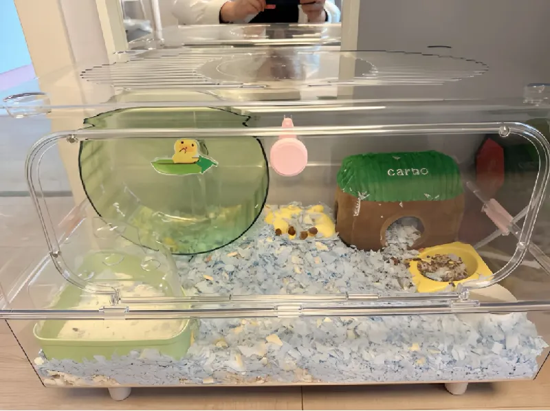 奶酪浴室!仓鼠洗澡神器小黄鸭联名款🛁