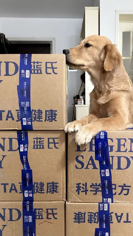 妈妈酱～瓦达西瓦是发财了吗？
