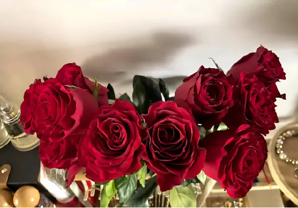 🌹一眼沦陷！这束红玫瑰，美到犯规😍