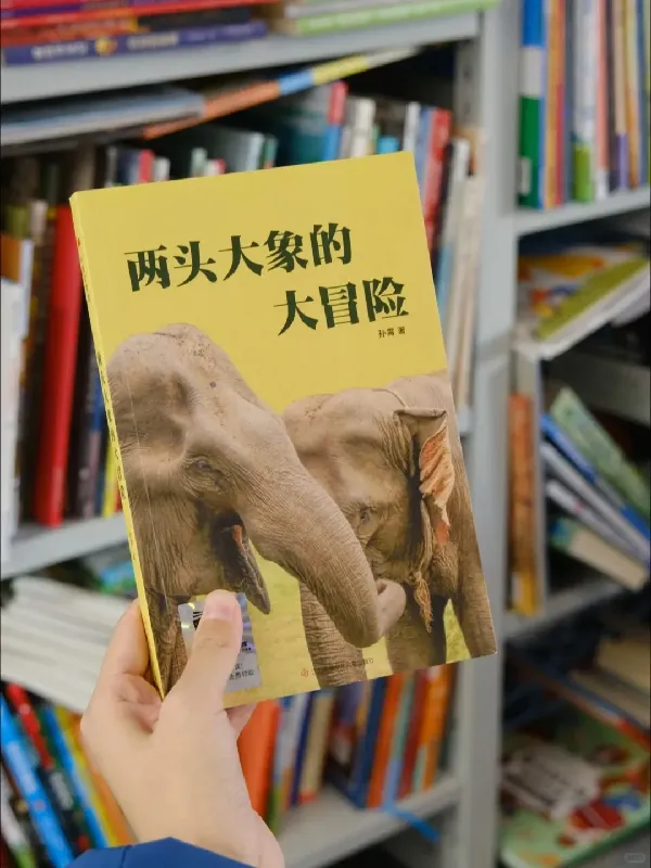 8岁+必看!《两头大象的大冒险》揭示人象关系✨