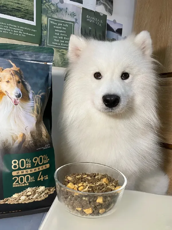 谁懂啊?猫咪终于能吃到“深海盛宴拌饭”了!