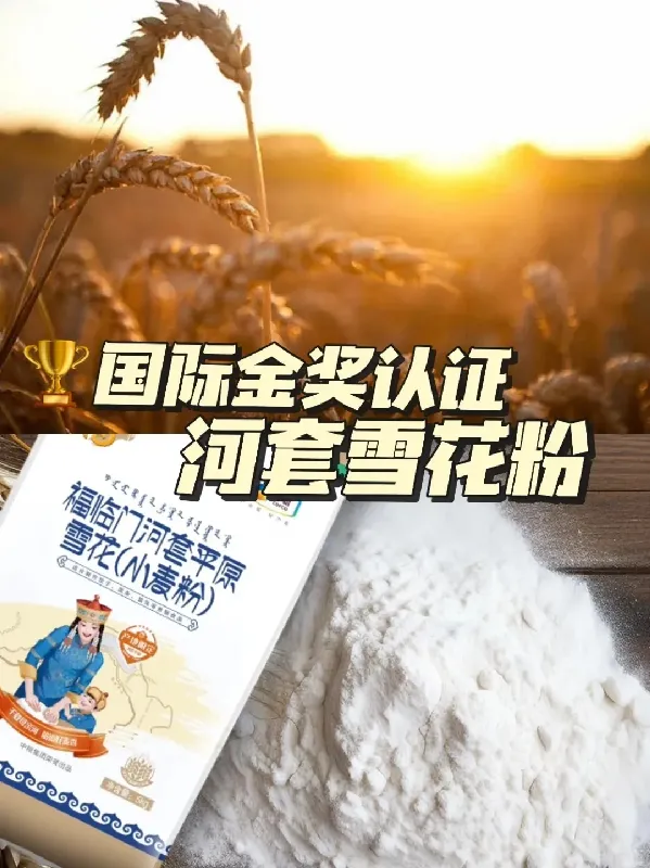 面食星人必看！福临门河套面粉，绝绝子💥