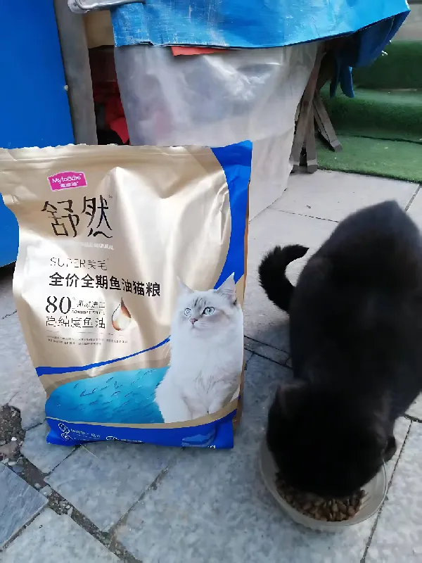 铲屎官们集合!麦富迪福利来啦!