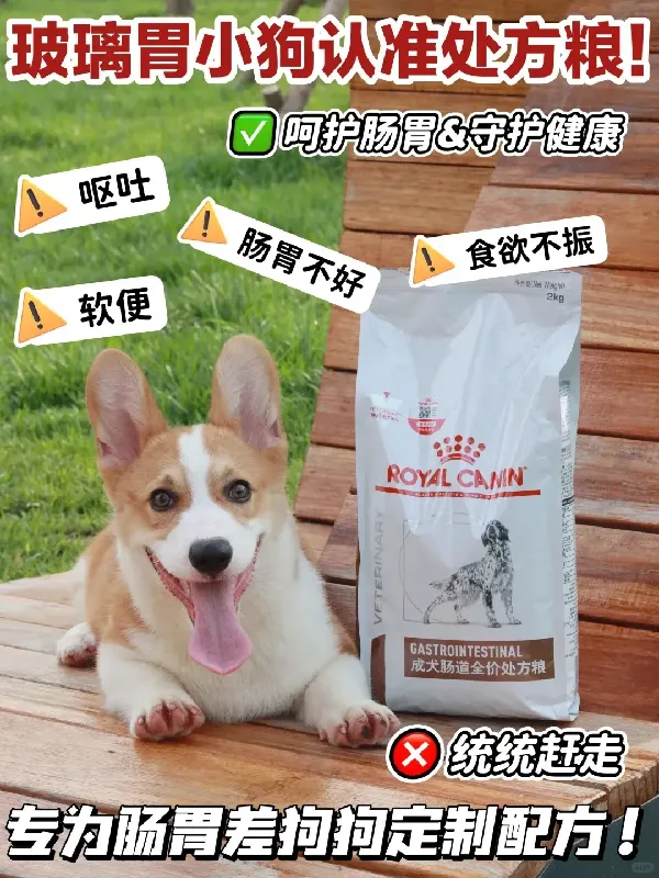 我家奶盖肠胃自救史❗玻璃胃的梦中情粮❗