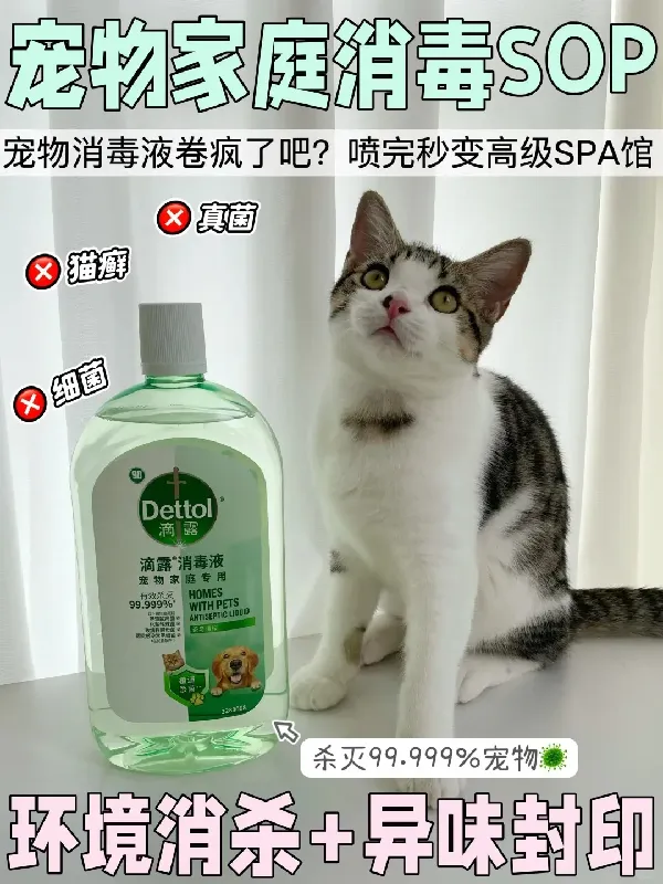 猫癣不会再来了!用它清洁环境=隔绝细菌🦠